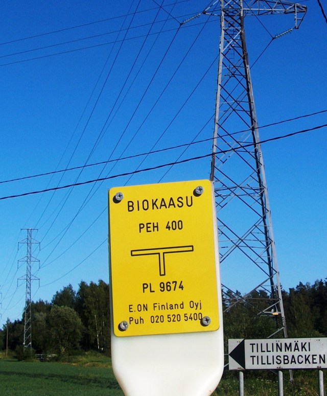 Valokuva Yrjö Myllylä, kesäkuu 2006.